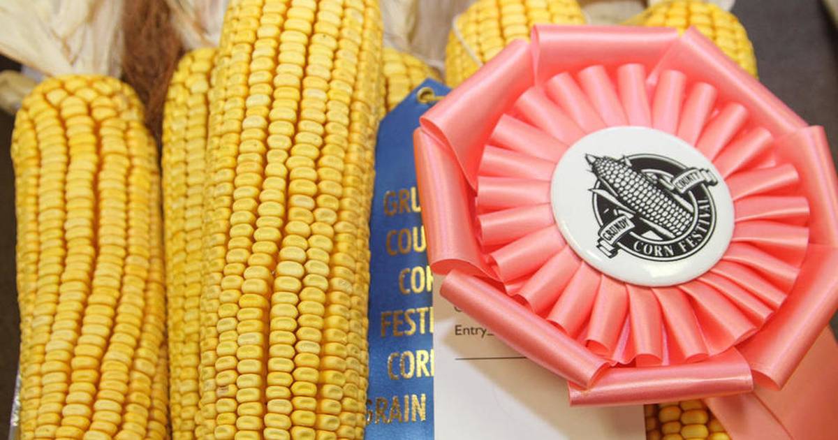 Grundy County Corn Festival Corn, Grain and Flower Show begins October