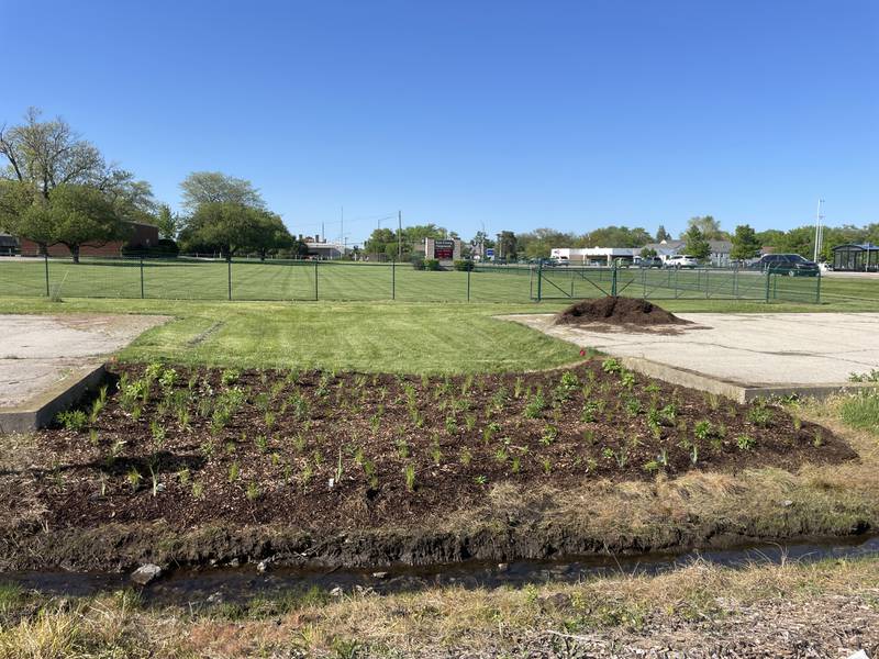 A rain garden can be a very rewarding way to capture rainwater. A garden is built intentionally in the path of water, or downspouts are directed into a depression in the yard where water can stay for a short amount of time (ideally less than a day) to filter into the soil.