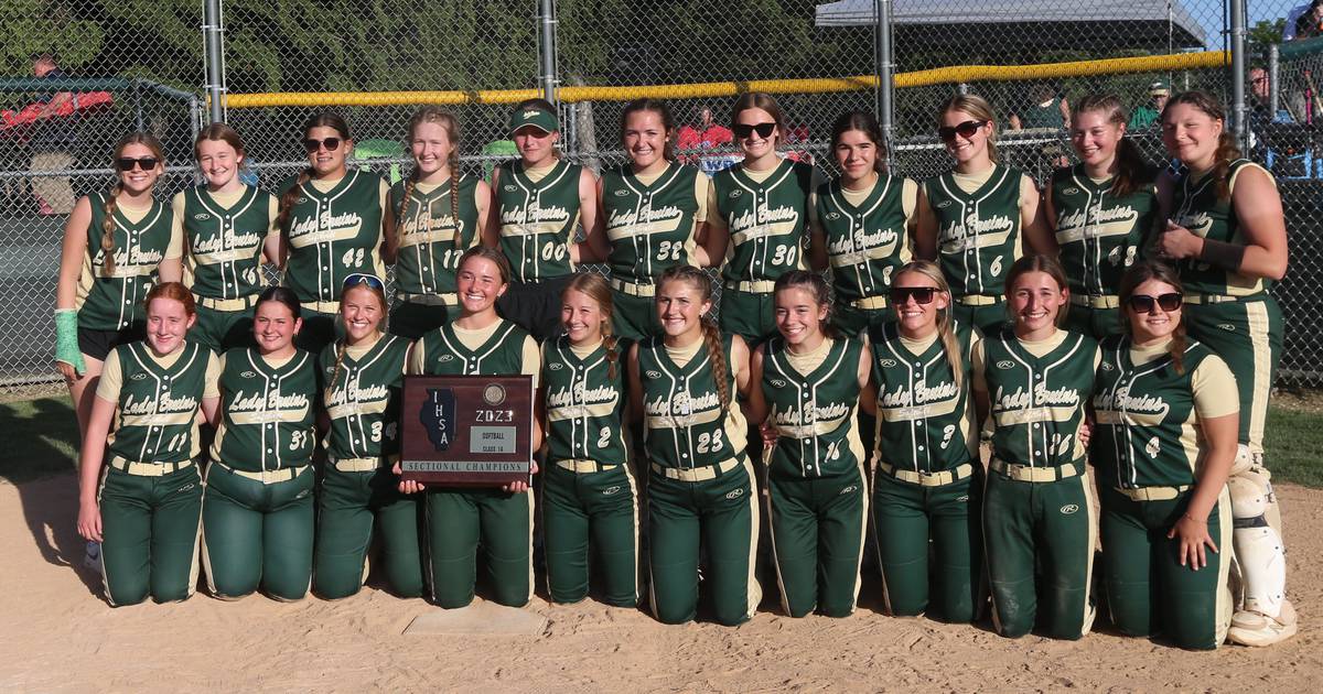 IHSA State Softball Capsule Previews Shaw Local