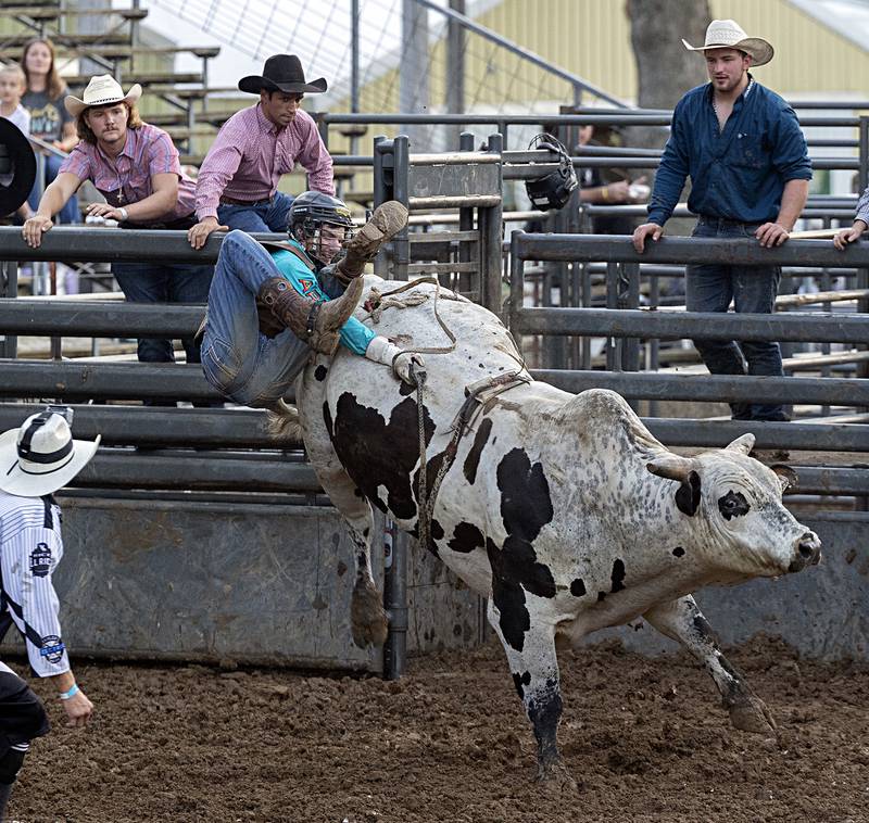 Mason Collins gets bucked off in the Rice Bull Riding and Barrel Racing event Thursday, August 11, 2023 at the Carroll County fair.