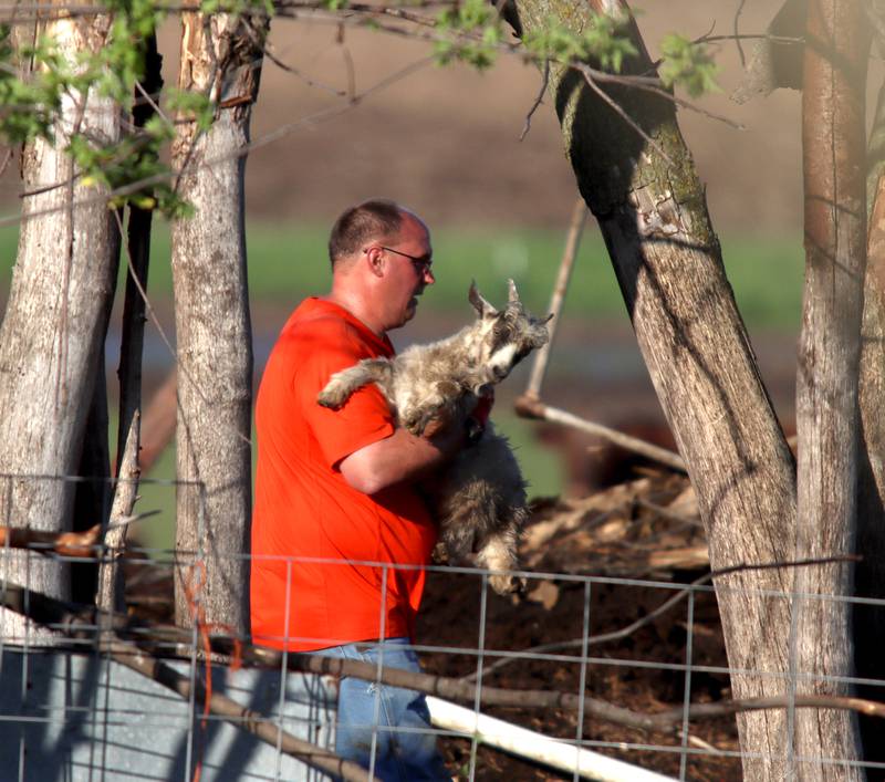 First responders, property owners and volunteers tend the scene of a barn collapse along Weidner Road near Harvard on Tuesday evening, May 7, 2024, helping remove rubble and rescue farm animals who were trapped. At least four animals died.