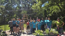 Chicago Bears, Brushwood Center build ZCenter Healing Garden