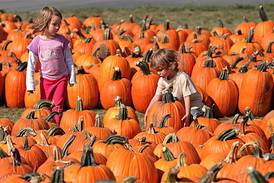 Here’s a map of pumpkin farms in northern Illinois for fall fun