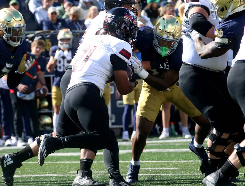 NIU's Dev'ion Reyonlds runs the ball against Notre Dame on Saturday, Sept. 7, 2024 at Notre Dame Stadium.