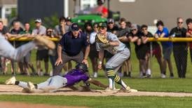 Baseball: Jude Warwick’s homer lifts Downers Grove North over Waubonsie for first sectional title in 20 years