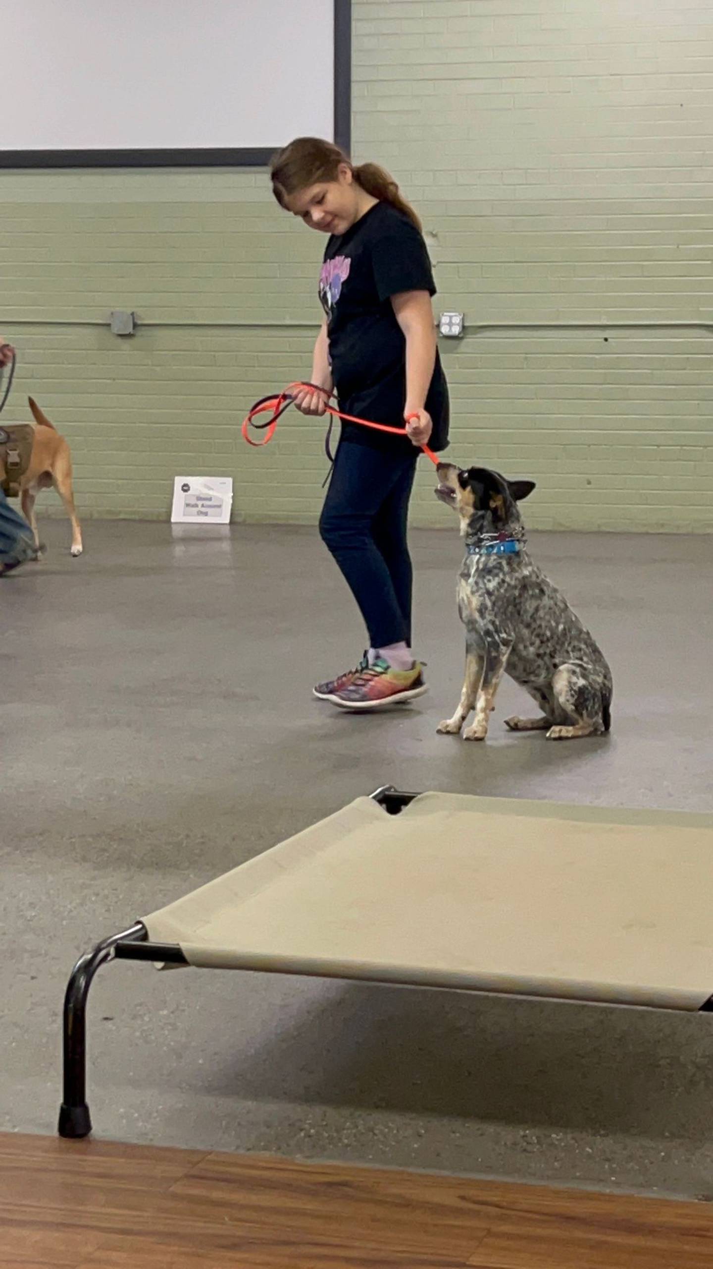 Bristol Sjostrom, 10, of Gardner, recently attended a training for service dogs through the Plainfield-based nonprofit K9s for Veterans. In 2020, Girl Scout Troop 75466 in Mazon, of which Bristol is a member, sponsored a Grundy County veteran to receive a service dog to help with his post-traumatic stress disorder.