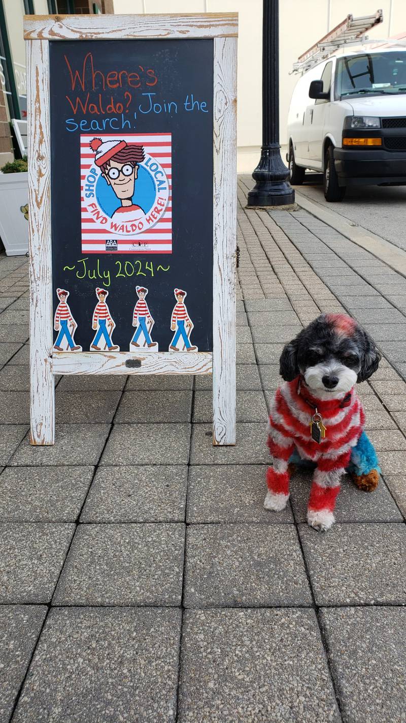 Abalabix Books, 30 N. Williams Street, Crystal Lake, is participating in Find Waldo Local 2024, a nationwide event co-sponsored by Candlewick Press and the American Booksellers Association in which independent bookstores work with other small businesses in their area to create a hunt for Waldo.