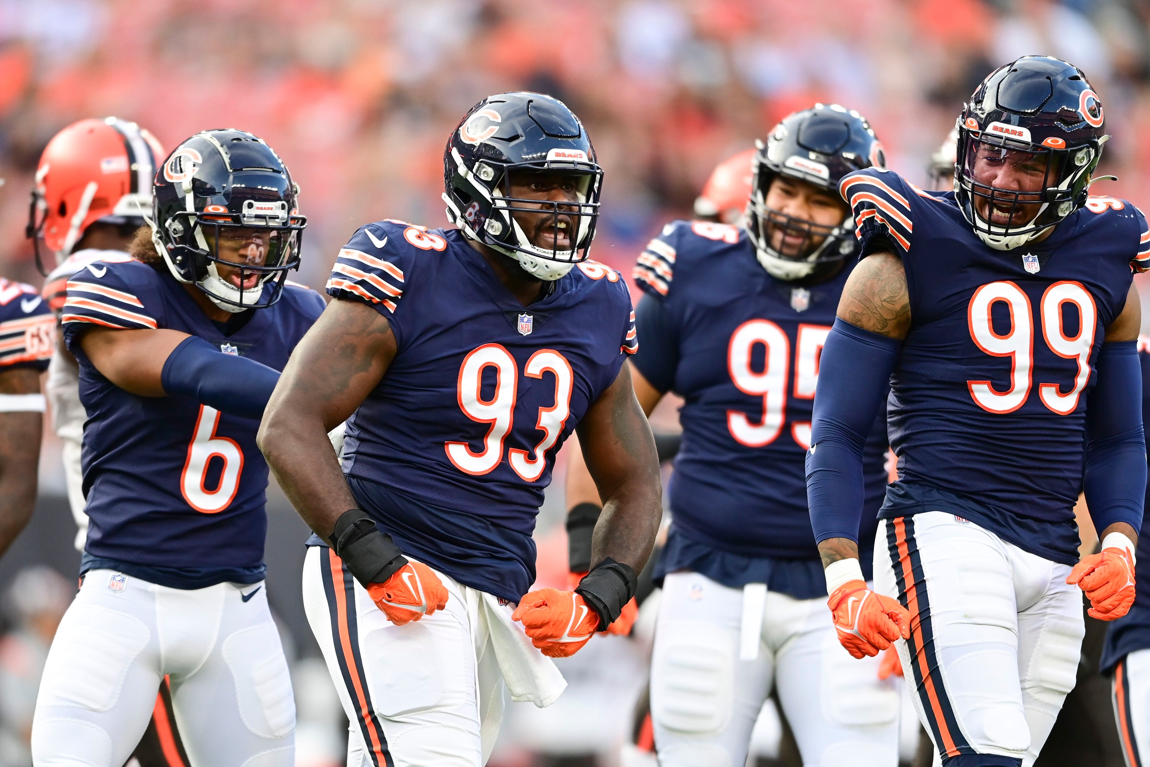 Shaw Local's 2022 Bears report card: Defensive tackle – Shaw Local