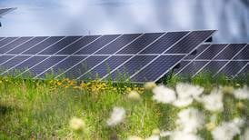 Solar project proposed near Franklin Grove