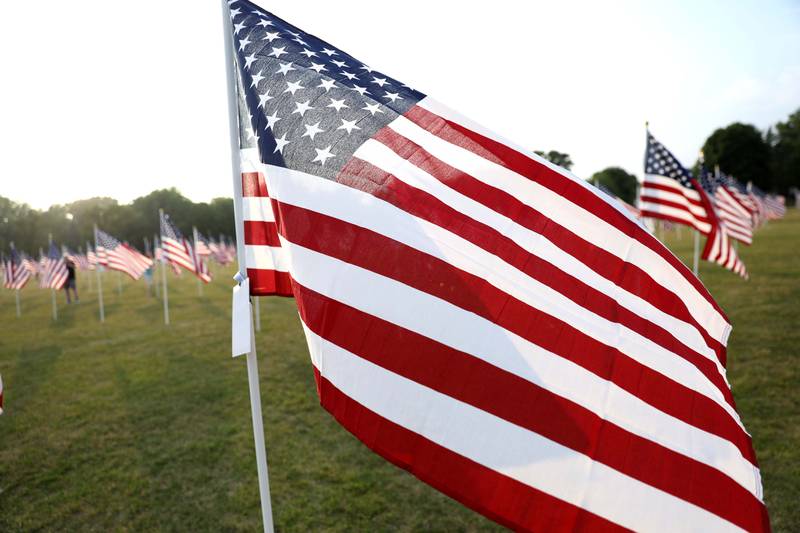 American flags fly at the Field of Honor at Seven Gables Park in Wheaton on Friday, June 30, 2023. The event, made possible by donations, sponsorships and volunteers, is hosted by the Wheaton Park District and Wheaton United Soccer Club.