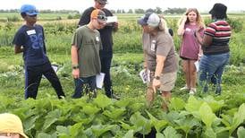 Area youth learn about composting, insects as DeKalb County’s Safari Kids Camp kicks off