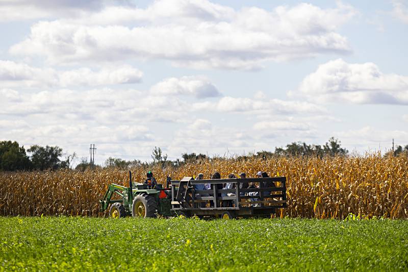 Hayrack riders take a tour of the grounds at Selmi’s Saturday, Oct. 7, 2023.