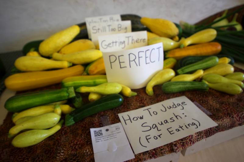 Produce is on display at the McHenry County Fair in Woodstock on Tuesday, July 30, 2024.