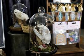 Photos: Peek inside two 'witchy' metaphysical shops in McHenry County