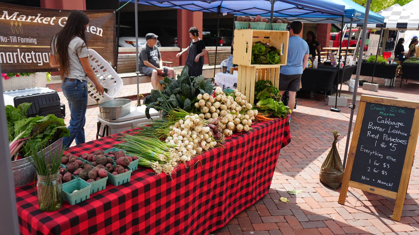 Creek Side Market Garden sells fresh farm produce at the Batavia Farmers' Market on June 29, 2024.
