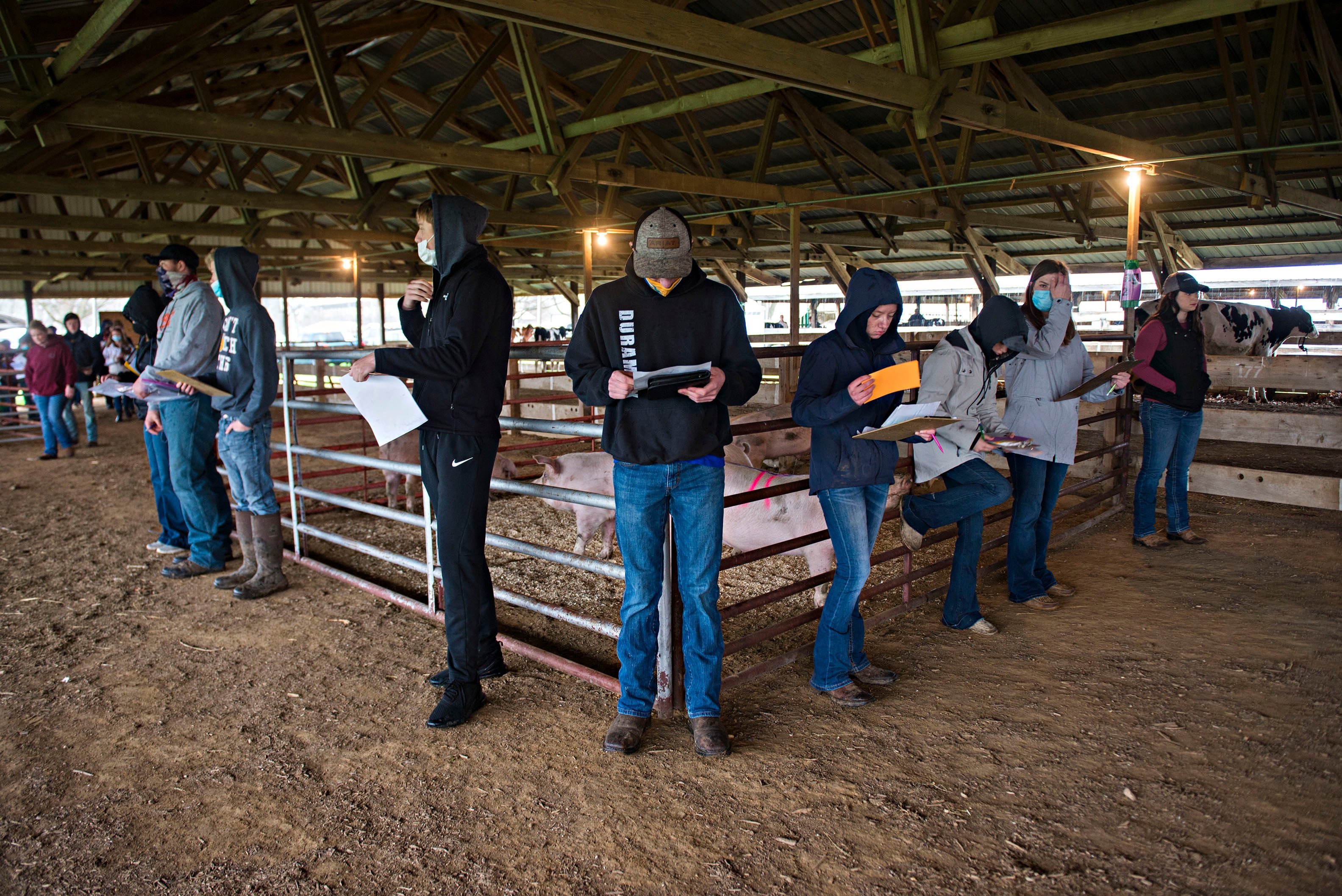 FFA, 4-H youths learn to judge for themselves Saturday in Milledgeville