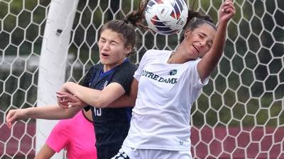 Photos: Burlington Central, Peoria Notre Dame girls soccer meet in Class 2A state third place game