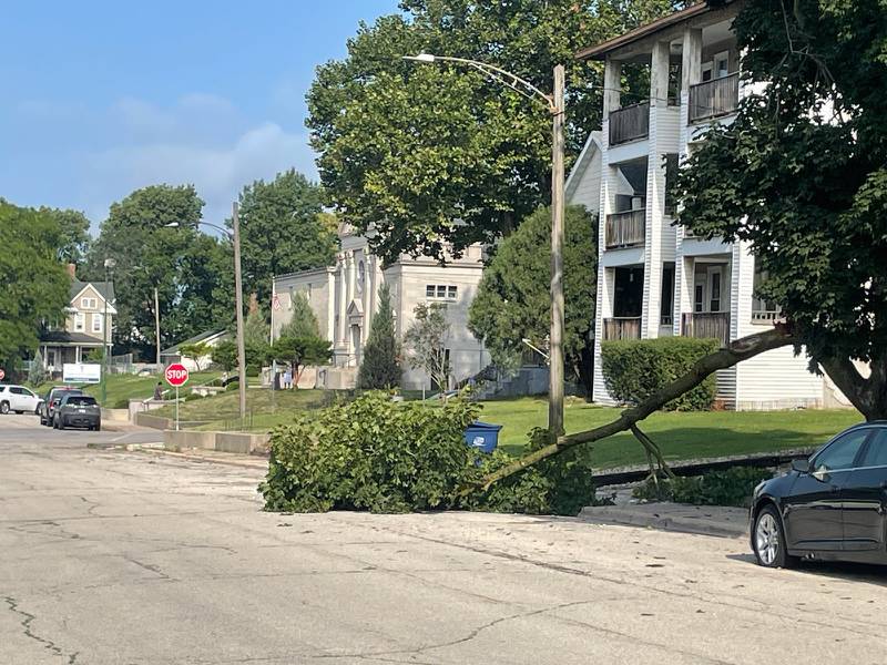 A tree limb partially obstructs the 600 block of Fourth Street in La Salle, the result of a line of storms that led to multiple power outages. Morning Mass was said by candlelight at Shrine of the Queen of the Holy Rosary, which was affected by one of the outages.