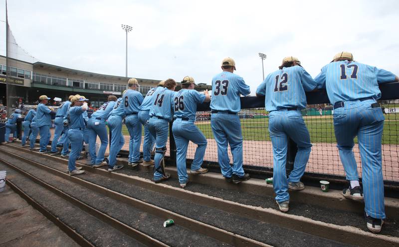 Members of the Marquette baseball team watch from the dugout as they play Altamont during the Class 1A State championship game on Saturday, June 1, 2024 at Dozer Park in Peoria.