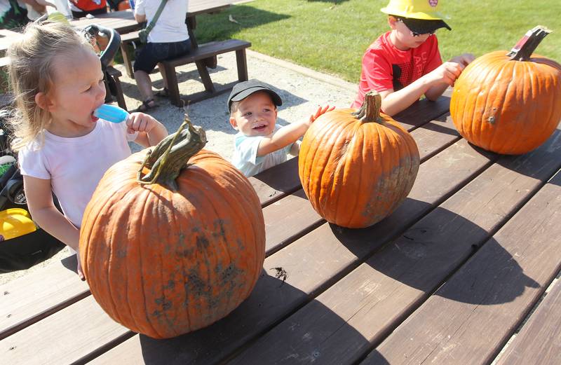 Olivia Warnecke, 3, her brother, Kasen, 1, and their cousin, Ben Warnecke, 9, all of McHenry decorate their pumpkins during the Fall Festival at Grant Township Center on October 1st in Ingleside. The event was sponsored by the Village of Fox Lake and Grant Township.
Photo by Candace H. Johnson for Shaw Local News Network