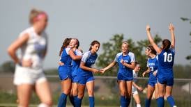 Photos: Wheaton North vs. Geneva in 3A sectional semifinal