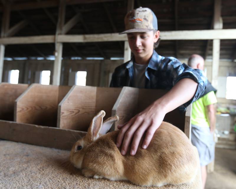 Trandon Kays of Magnolia, pets his rabbit that he prepares to show during the 169th Bureau County Fair on Thursday, Aug. 22, 2024 in Princeton.