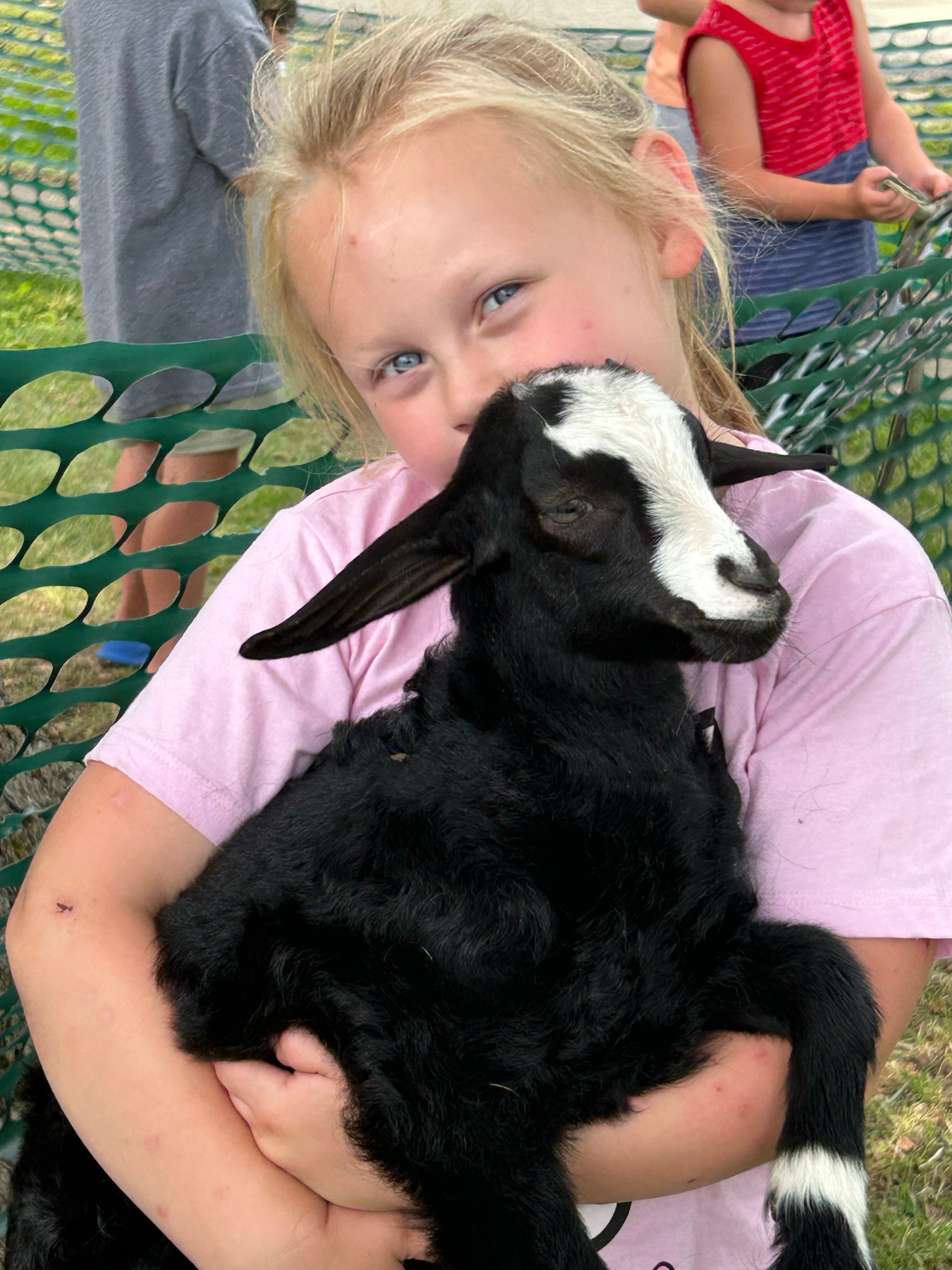 Aubree Colasuono, 6, of Rockford, gives a little goat a hug at Kriss' Funny Farm & Wedding Barn's petting zooe during German Valley Days on Saturday, July 20, 2024.