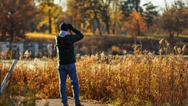 Interested in our migrating feathered friends? Join free bird walks in Glen Ellyn