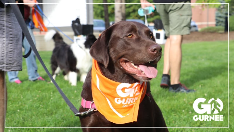 On May 19, Gurnee Park District invites the community and their leashed dogs to get moving in May with GO GURNEE’s Reboot Event from 1 to 3 p.m. at Viking Park, 4374 Old Grand Ave.