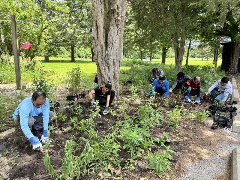 Volunteers plant trees at Kankakee State Park.