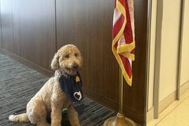 Lake County Courthouse partners with Canines 4 Comfort