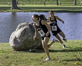 Local runners compete in cross-country sectionals - Franklin