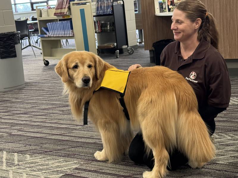 Golden retriever Achie and his parent, Kristine Porreca, were among the therapy dogs at Richmond-Burton High School on Monday, Jan. 8, 2024. The therapy dogs accept pets and scratches from students looking for solace following the death of a classmate last week.
