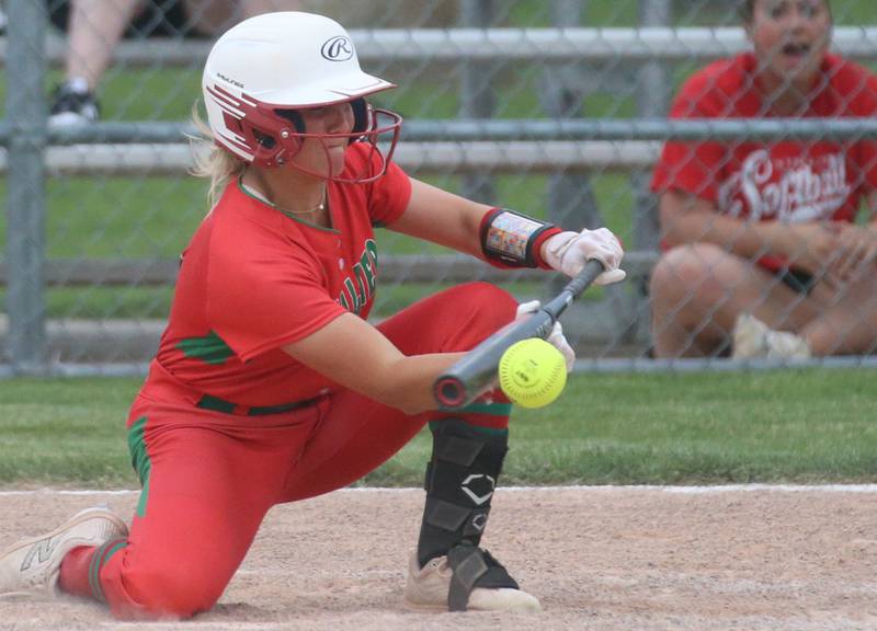 L-P's Karmen Piano lays down a bunt against Streator during the Class 3A Regional semifinal game on Tuesday, May 21, 2024 at Metamora High School.