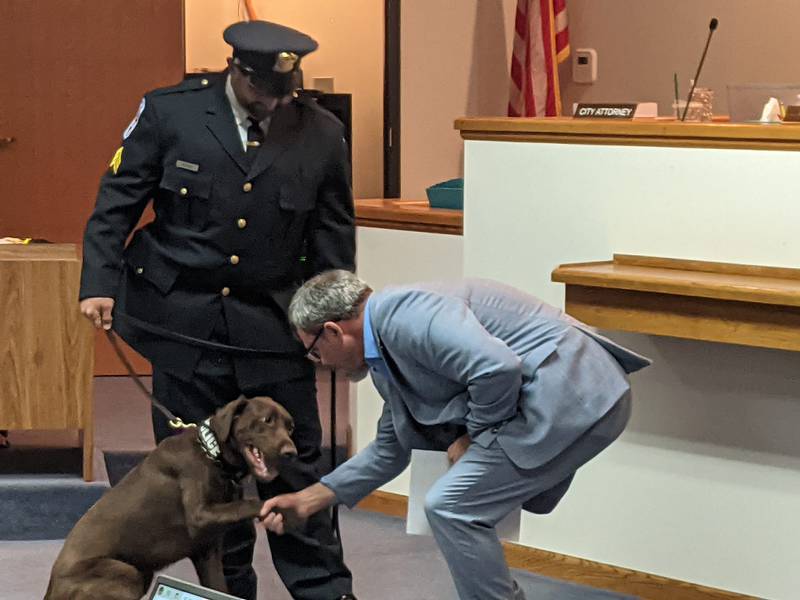 Sandwich Mayor Todd Latham swears in the Sandwich Police Department's new police dog, Musil, during the June 17 Sandwich City Council meeting. Standing next to Musil is her handler, Sandwich Police Sgt. William Meisner.