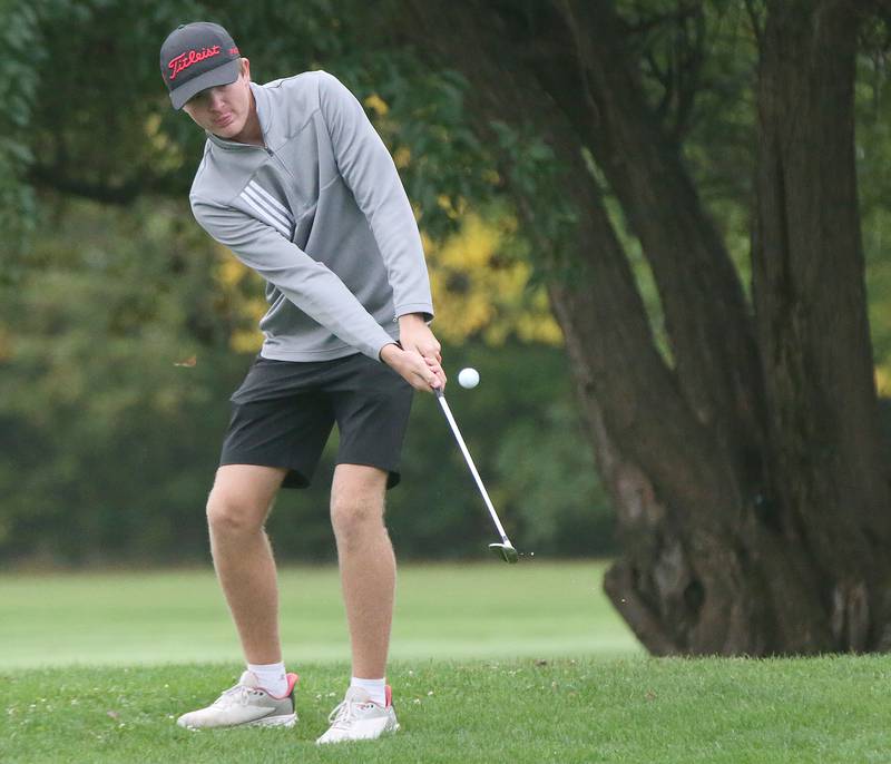 Hall's Landen Plym chips his ball toward the first hole during the Class 1A Regional on Wednesday, Sept. 27, 2023 at Wolf Creek Golf Club in Pontiac.