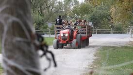 Photos: Kid Fun at Hayride of Horrors