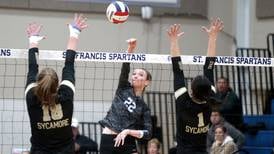 Girls volleyball: 2024 Kane County Chronicle season previews