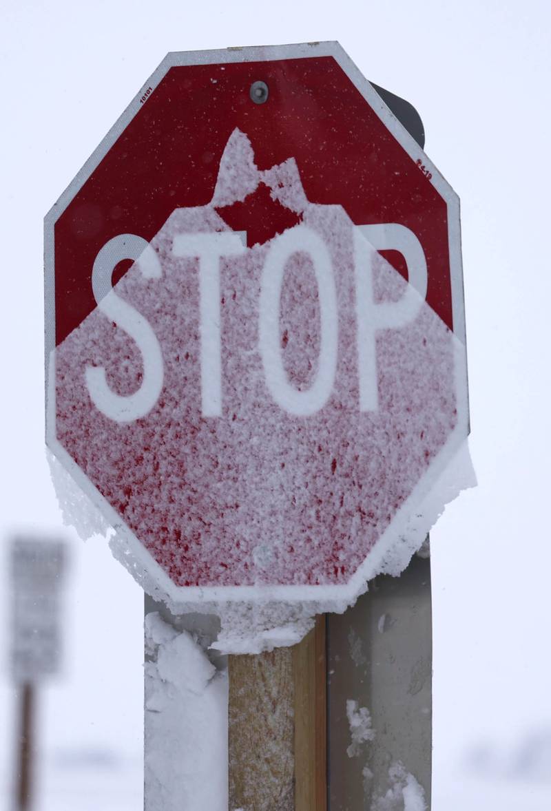 Wet, heavy snow slides down a stop sign Tuesday, Jan. 9, 2024, in DeKalb. Snow is expected to continue throughout the day with 7 to 10 inches of snow expected.