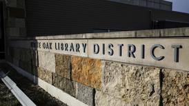 Will County libraries offer plenty of activities