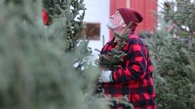 Here’s how to recycle your Christmas tree in DeKalb