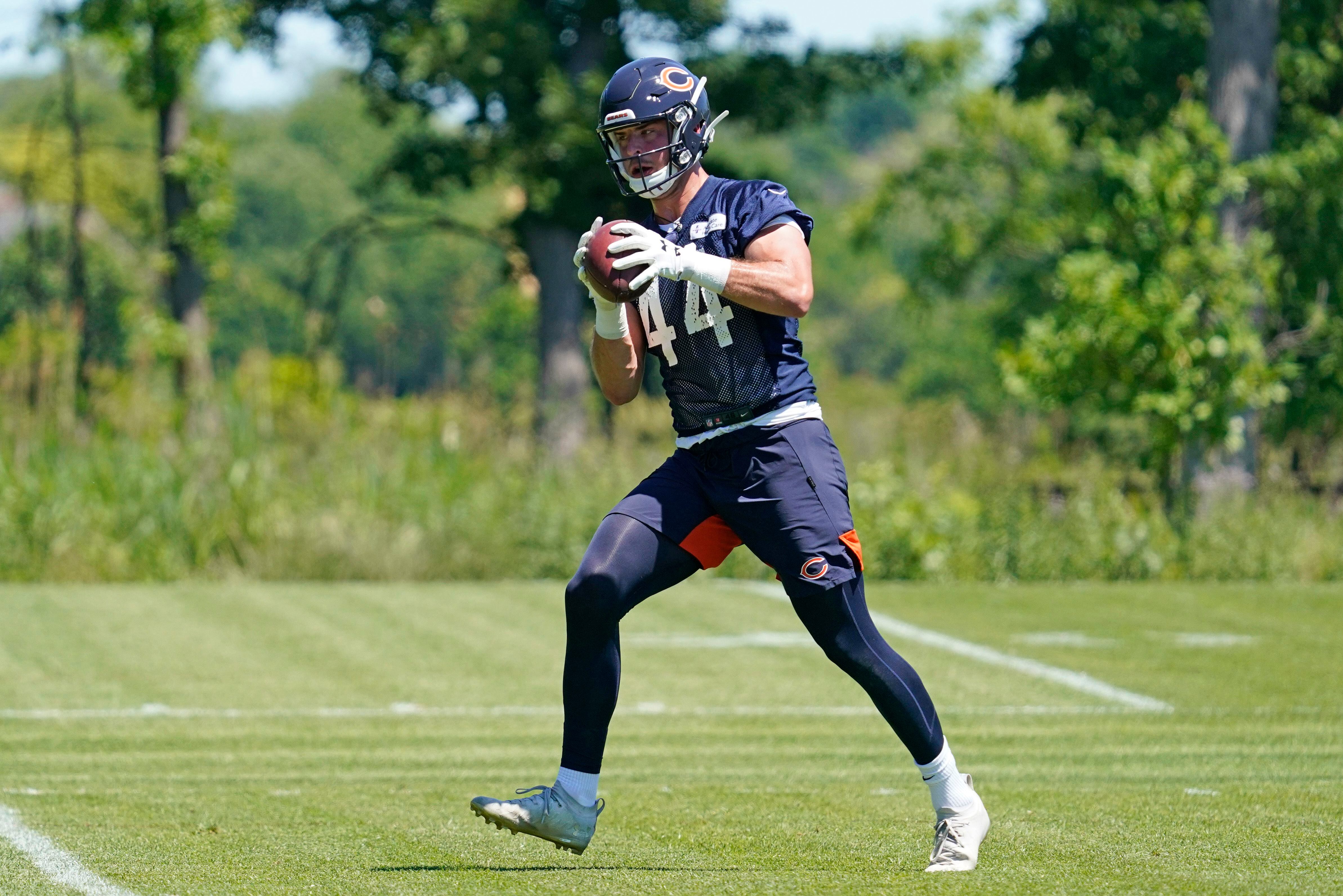 Chicago Bears news, analysis - Shaw Local