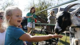 5 Things to Do: Settlers’ Days in Marengo and Fall Harvest in Huntley among McHenry County-area offerings