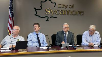 Sycamore dissolves committees city says were long inactive