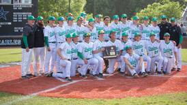 Photos: St. Charles North vs. York baseball in Class 4A sectional final