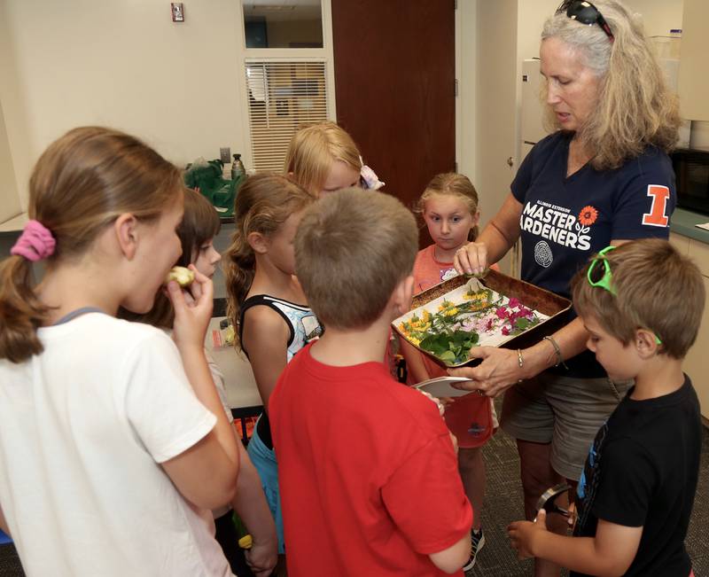 Kane County Master Gardener, Kim Corbo explains a craft to a group of junior explorers at the Town and Country Library on Friday, June 21, 2024 in Elburn.