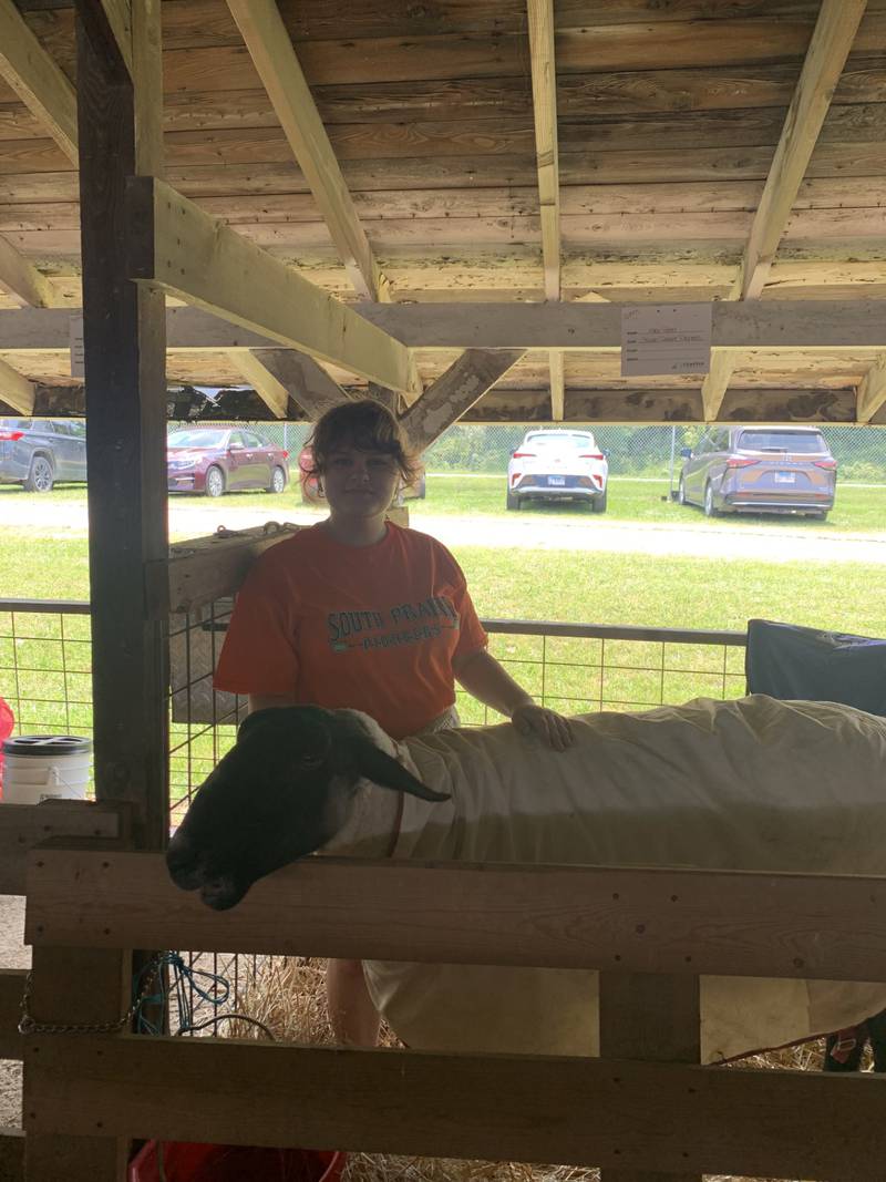 Alex Reed, 14, with her sheep that she showcased at La Salle County's 4-H and Junior Show on Thursday July 11, 2024. (Bill Freskos)