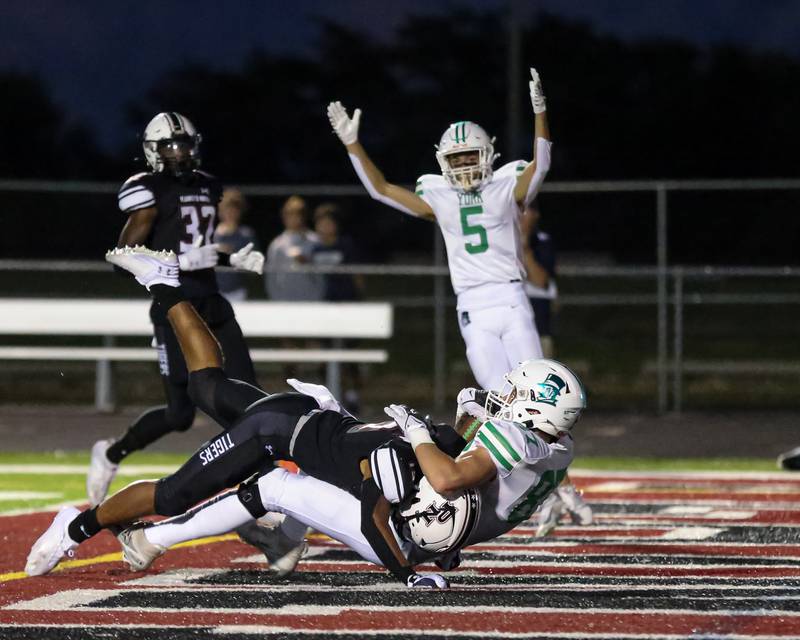 York's Hunter Stepanich (87) is brought down in the endzone after a touchdown catch during a football game between York at Plainfield North on Friday, Sept 6th, 2024 in Plainfield. Gary E Duncan Sr for Shaw Local News Network.