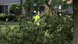 Photos: Crystal Lake storm damage cleanup 