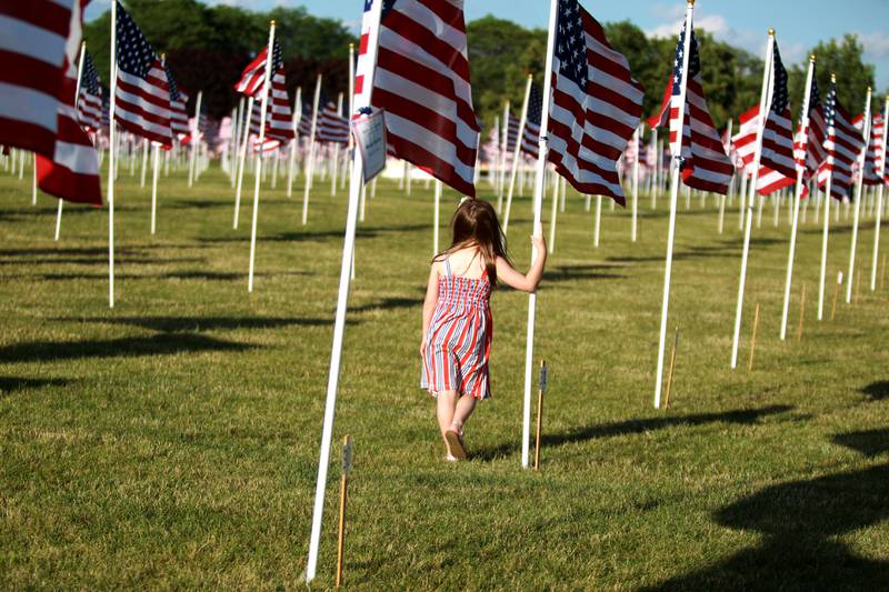 The opening night of the Field of Honor at Seven Gables Park in Wheaton on Saturday, June 29, 2024.